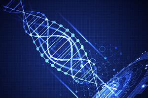 Corsi Dipartimento Di Ingegneria E Scienza Dellinformazione