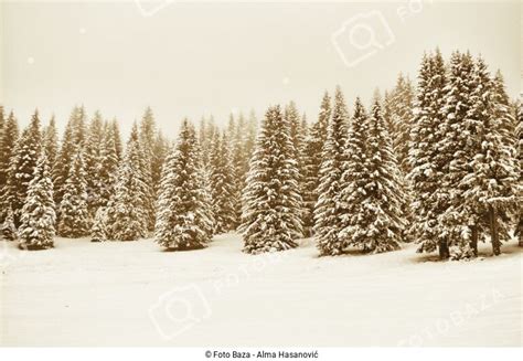 Zimski Pejzaž Preuzmite Fotografiju Foto Baza