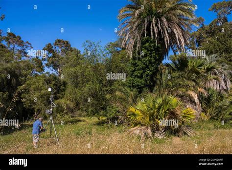 France Alpes Maritimes Antibes The Botanical Garden Of Villa Thuret