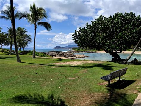 ko olina pathways grass credit carrots