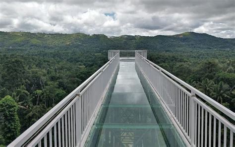 Karnataka Gets Its First Glass Bridge In Coorg That Offers The Best Panoramic Views | WhatsHot ...