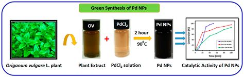 Molecules Free Full Text Green Synthesis And Characterization Of