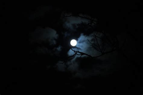 Dark Night Moon