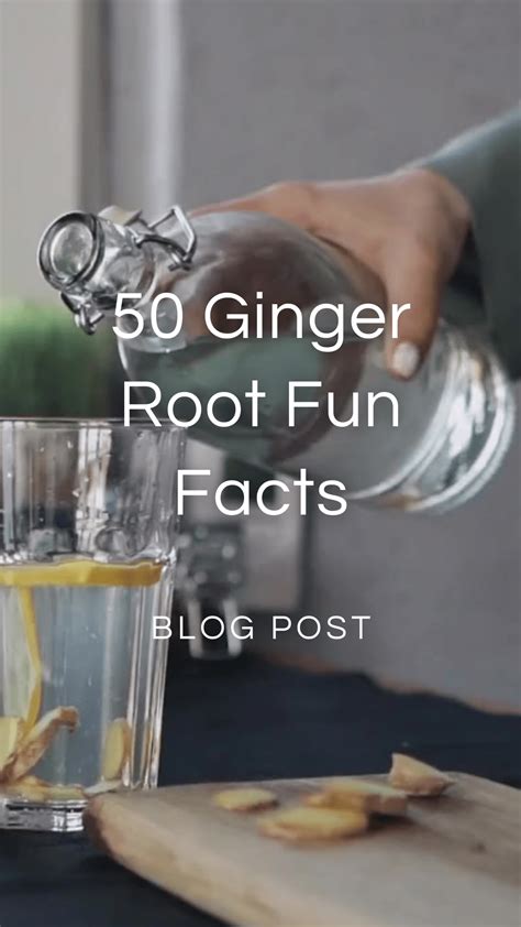 50 Ginger Facts — Zhi Herbals