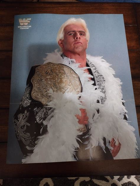 Ric Flair World Heavyweight Wrestling Championship Belt Robe 16x20