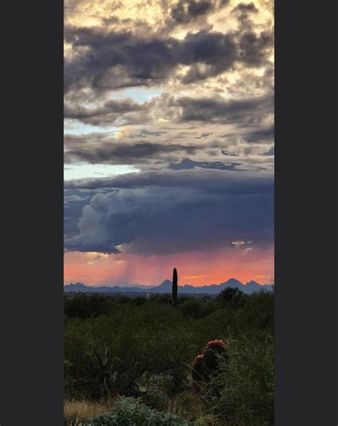 Pin By Paula Kinkead On Arizona Out West Desktop Screenshot