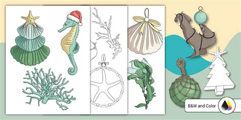 Coastal Christmas Cutouts Lehrer Gemacht Twinkl