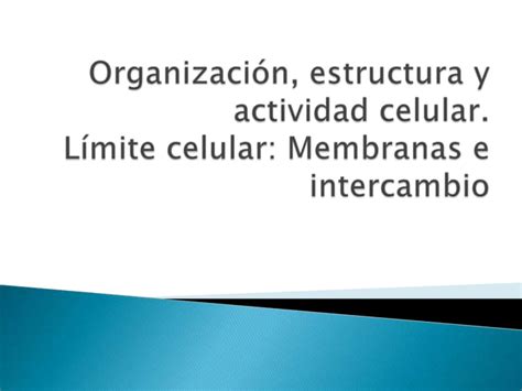 Organización estructura y actividad celular PPT