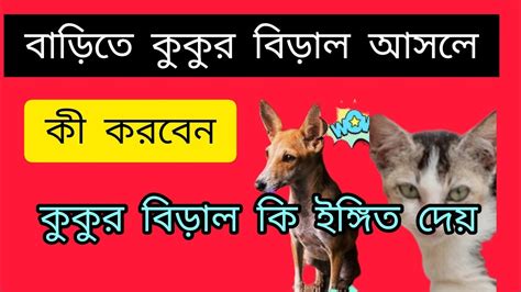 বাড়িতে কুকুর বিড়াল আসা শুভ না অশুভ। কী বলছেন ভগবান শ্রীকৃষ্ণ Jai