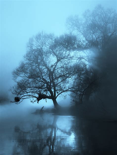 Wallpaper Dark Nature Water Trees 1457x1920 Wallpapermaniac