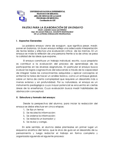 Pautas Para La Elaboracion De Un Ensayo Pdf Ensayos Evaluación