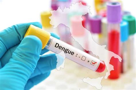 Nuovi Casi Di Dengue In Italia La Preoccupazione Aumenta Ecco Le Zone