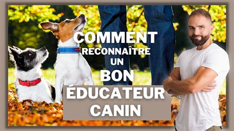 Comment Reconna Tre Un Bon Ducateur Canin Youtube