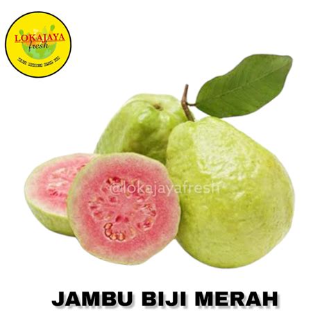 Buah Jambu Biji Merah 1 Kg Lazada Indonesia