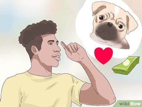 A Que Edad Puede Quedar Embarazada Una Pug