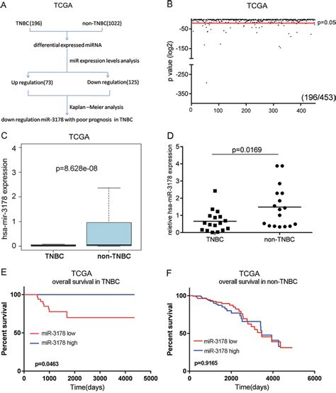 MiR 3178 Expression Level Was Downregulated In TNBC A The Strategy For