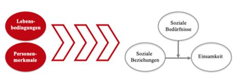 Soziale Entwicklung Karteikarten Quizlet