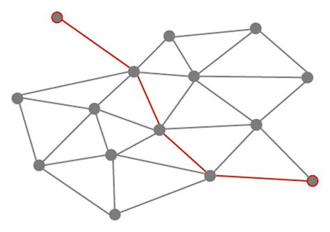 Models Of Some Statistic Tools For Complex Network Topology A