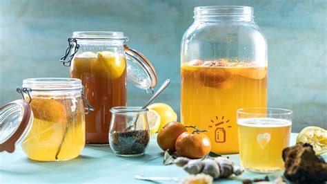 Comment faire du kombucha maison Révolution Fermentation