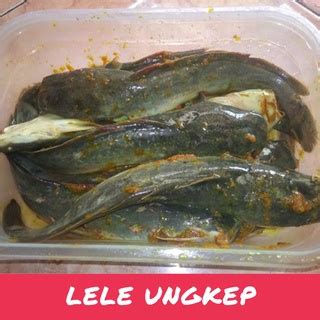 Jual IKAN LELE UNGKEP FRESH BUMBU KUNING LELE UNGKEP SIAP GORENG 500