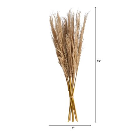 40” Dried Natural Pampass Grass Bundle Set Of 2 Nearly Natural