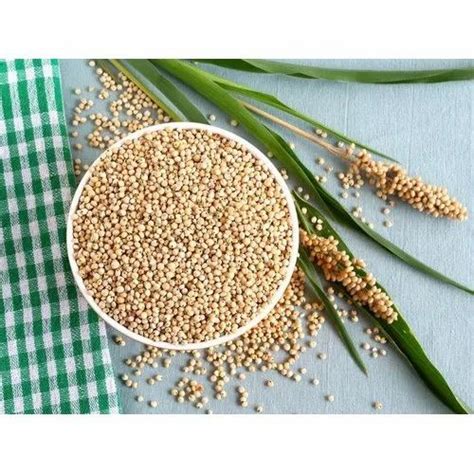 Organic Jowar Grain at ₹ 40/kg | White Sorghum in Pune | ID: 22375276288