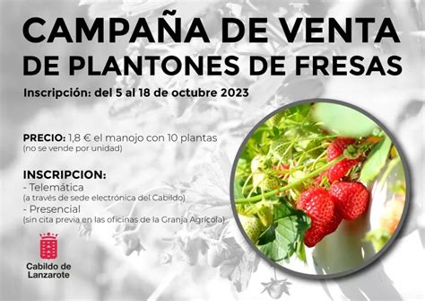 Quieres Sembrar Fresas Lancelot Digital