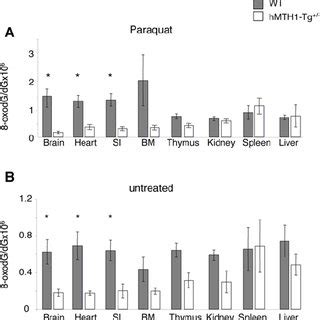 KBrO 3 Sensitivity Of HMTH1 Tg And Wild Type MEFs Wild Type