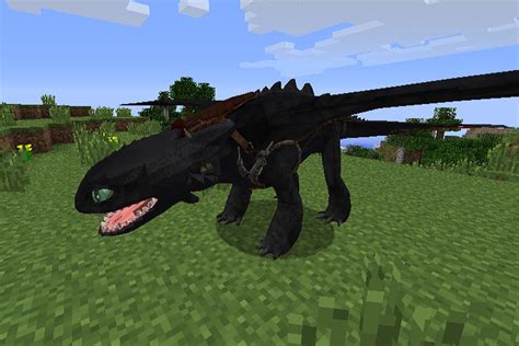 dragon mods  minecraft pe  android apk