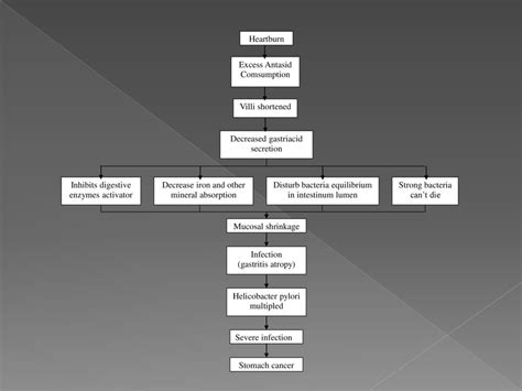 The Efficacy Of Antacid Towards Stomach Small And Large Intestine