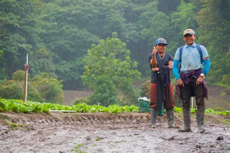 Creación del Distrito Tierras Altas Directorio Tierras Altas