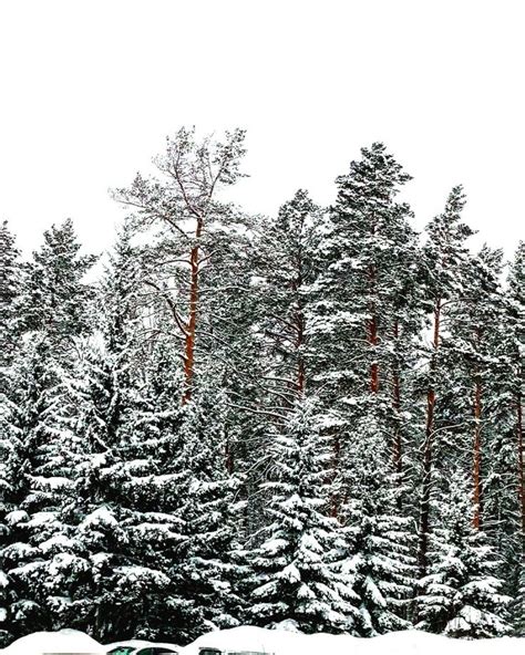 Pin de Борис З em краски зимы