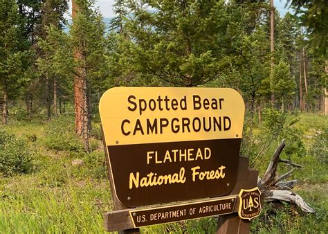 Spotted Bear Camping The Dyrt