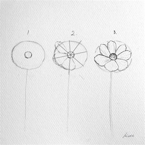 Step By Step Drawing Flowers - Rectangle Circle