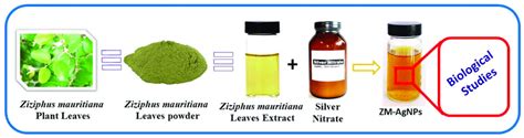 Graphical Representation Of Green Synthesized Silver Nanoparticles