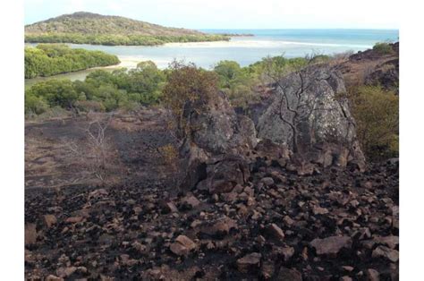 Australian Indigenous banana cultivation found to go back over 2,000 years