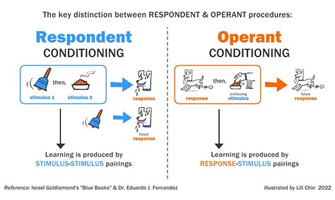 Respondent Vs Operant Conditioning In Operant Conditioning