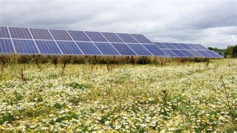 Solar Farm Company Plans Northern Ireland Sites Bbc News