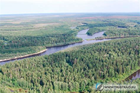 Северсталь и Tenaris — новое совместное предприятие