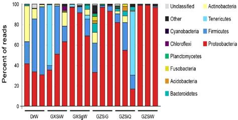 Pdf Identification And Diversity Of Bacterial Communities Associated