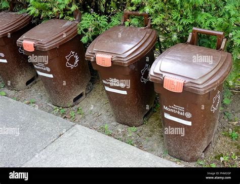 Brown Bins For The Collection Of Compost In Montreal Qc Canada Stock