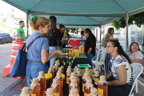 Artesanato Sustent Vel E Agricultura Familiar Geram Renda Para