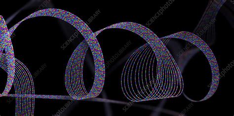 Protein Illustration Stock Image F0304435 Science Photo Library