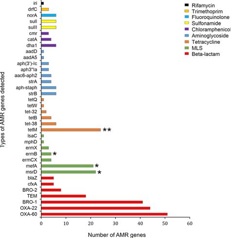 Frequency Of Antimicrobial Resistance Amr Genes Within