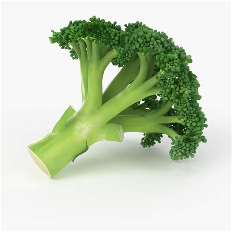 Realistic Broccoli