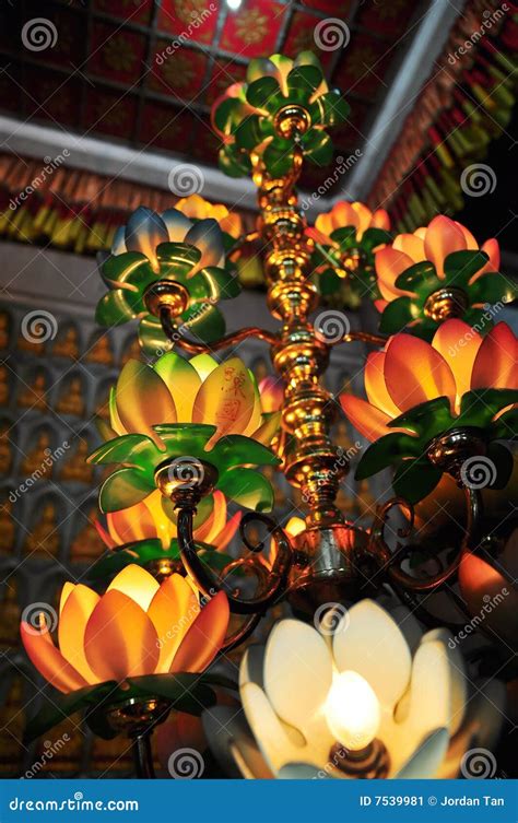 Lotus Lamps In Chinese Temple Stock Image Image Of Chinese Lotus