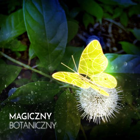 Magiczny Ogr D Botaniczny Uw Uniwersytet Warszawski