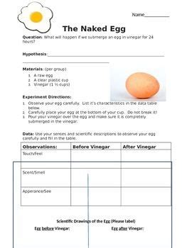 The Naked Egg An Engaging Scientific Inquiry Experiment Upper