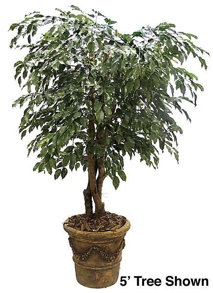 Earthflora Faux Ficus Trees 6 Ficus Tree Natural Trunks 2058 Leaves Green Weighted