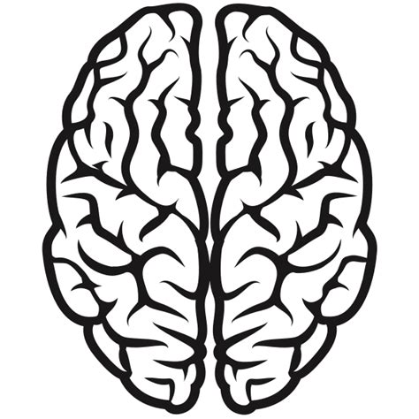 Brain 2 Free Svg